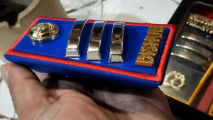 Pin Bros Pangkat Dis Hub honorer S1