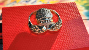 Pin Bros Korpri 3 dimensi tanpa Mika