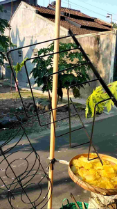 Rak Helm Susun 5 / Tempat Helm Dinding / Rak Helm Murah