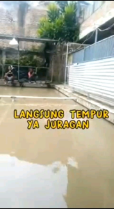 Essen Pancer Essen racik ikan mas harian dan kilo gebrus murah juara aroma wangi gurih