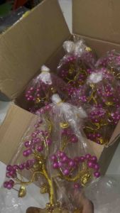 Cây kim tiền mini cao 16cm