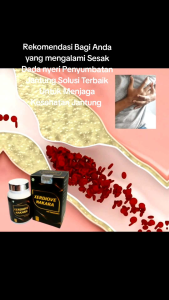 Obat Penyakit Jantung - Obat Hipertensi -Obat Kolesterol Xerdiove Nakara Original Herbal Alami Terbukti Ampuh