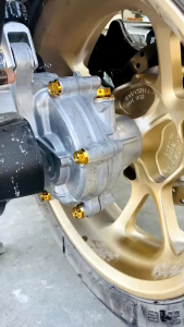 น๊อตเฟืองท้าย N-max 20ถึง24 หัวสนาม จี้ลาย  หัวเฟือง เจาะดอกไม้  ราคาชุดละ (1ชุดได้4ตัว)