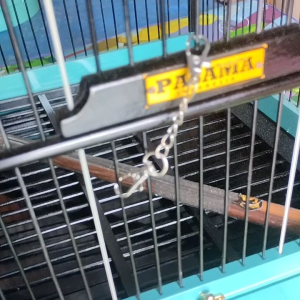 Rantai Pengunci Sangkar Burung untuk Keamanan Burung Kesayangan