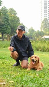 UltraDog Senior 7+ Years Dog Care Supplement Visible Results in 2–3 Days