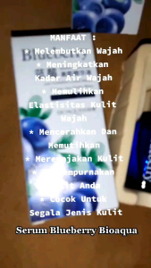 Serum Penghilang Flek Hitam Pori Pori Bekas Jerawat Dan Pemutih Kulit Wajah/ Serum Blueberry