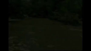 Micro-Blaze 250ml ขวด สินค้าวัสดุเช่น จู่จู่มือ คุณประสบการณ์ ดับกลิ่น ย่อยสลายสิ่ง ระบบปฏิกูล และน้ำมันปนเปื้อน มีสภาพการผล และผลลัพธ์ที่น่าสนใจ