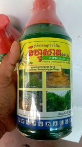 thuốc trừ cỏ lưu dẫn NICOTEX hoạt chất củ cực mạnh!!