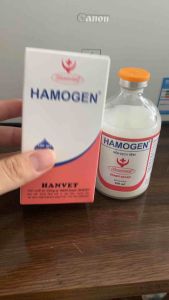 HAMOGEN (100ml) hanvet dung dịch tiêm xử lý các bệnh đường hô hấp tiêu hoá viêm ruột viêm tử cung ở chó mèo và gia súc