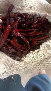 1kg CABE MERAH BESAR (SUPER) KERING TANPA TANGKAI