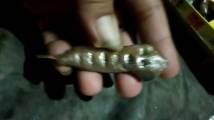 Koleksi Wesi Kuning Asli Bukan Kuningan