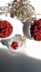 มะยมเชื่อมเสียบไม้ พร้อมส่ง มะยมเชื่อมสูตรโบราณ ส่งเป็นของฝากแด่คนที่คุณรัก