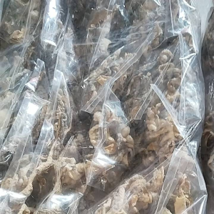 Kerupuk kulit Ikan Remang isi paket 5 bungkus ukuran 40gram cocok untuk berbagi