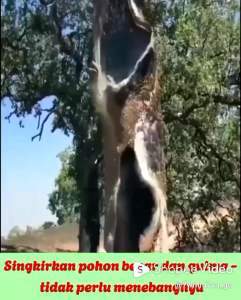 New Red Magic Pembasmi Gulma Herbicides - Pesticides Biologis Terlaris Beli 3 Gratis 1 Botol