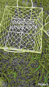 Natural Color Native Tray