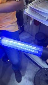 【SG SELLER】26cm 4 Mode Battery Powered Traffic Light Stick LED Flashlight