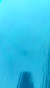 khổ cao 1m12m x dày 8zem tôn nhựa lấy sáng xanh mờ dùng để che nắng  mưa lấy sáng giếng trời...