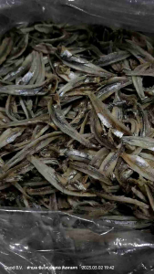 ปลากะตักแห้ง เนื้อปลากะตักแบบแกะ2ซีก (1kg 150 baht)