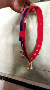 2 pcs kalung sapi