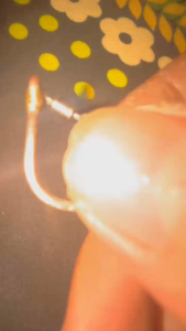 kail super sensitif ukuran 12 galatama lele