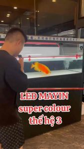 *ONE YEAR WARRANTY* Mayin Super Color 3 Aquarium Tanning Light Arowana Lampu Akuarium LED