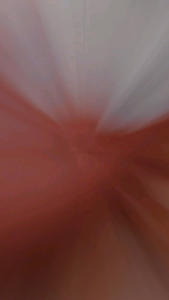 EMPING MELINJO KEBUMEN FULL KERING UK SEDANG (BIJI 2-3) PAKET USAHA PER 5KG