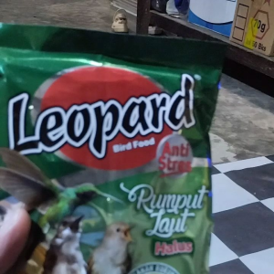 leopard makanan burung voer halus varian madu dan rumput laut