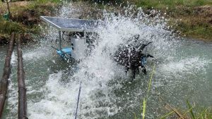 กังหันตีน้ำโซล่าเซลล์ รุ่น24/500W ใช้แผงmono 390W ทำงานได้เต็มประสิทธิภาพ ทุ่นใหญ่8นิ้วครึ่ง เครื่องตีน้ำเพิ่มออกซิเจน เครื่องบำบัด ทุ่นใหญ่8นิ้วครึ่ง*ทำงานเองอัตโนมัติทุกวัน*กังหันน้ำตีน้ำ เครื่องบำบัดน้ำเสีย อึดทนขึ้น พลังงานแสงอาทิตย์100% เครื่องเพิ่มอ