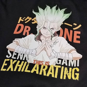 T-TEES - Anime T-Shirt - Dr. STONE - Ishigami Senku