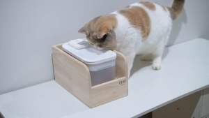 LP44 ที่วางน้ำพุ PANDO ขนาดเฉพาะที่พอดี สวยงาม แข็งแรง มินิมอล กินได้รอบทิศทาง ไม้เกรดA