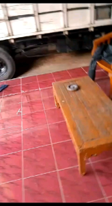 Gril Atau Dada Elf Macan: Variasi Warna