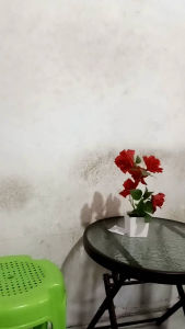 16gb USB HDT MTV EXPANSION DECEMBER POST UPGRADE 2025 For 98i/ 98ProN W/ 50 Regional Mtv in 6 Dialect Variations As Frrebies