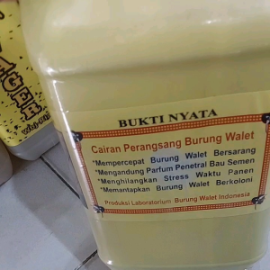 parfum walet bukti nyata.bukti nyata parfum walet