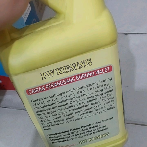 parfum walet pw kuning.pw kuning parfum walet