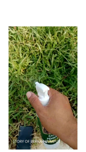 [herbisida] obat pembasmi gulma dan rumput liar 1liter siap pakai