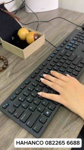 Bi lăn tay trắc Combo 2 quả bi gỗ trắc vân loang 5cm - HAHANCO - Luyện cơ tay/ Vật lý trị liệu- MH360