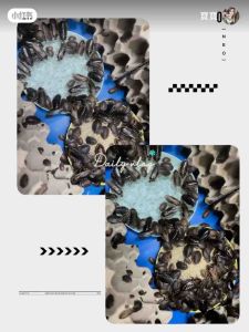 DUBIA ROACHES WATER GEL