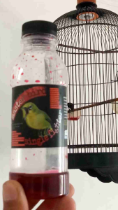 Pakan Burung Perkutut & Cucak Ijo: Tips dan Trik