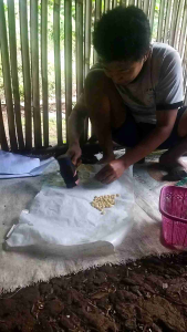 1 kg emping melinjo setengah kering / emping melinjo / camilan melinjo / emping / emping renyah gurih tipis putih kualitas super