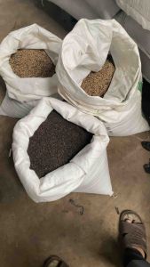 Lada Hitam 100gr: Rempah Alami Untuk Masakan