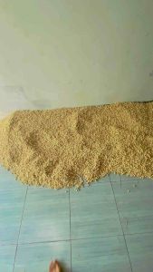 Kapulaga putih utuh 100gr / kapol / rempah / bumbu masak