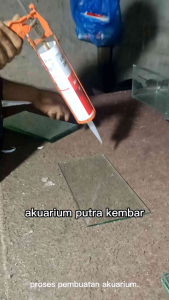 Akuarium 30x15x15: Panduan Lengkap untuk Pemula