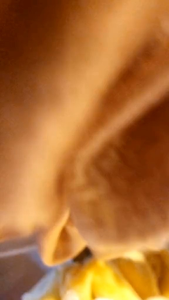 SCRUNCHIES SATIN-ยางมัดผมน่ารักๆ / ยางรัดผมโดนัท Legarose.shopth