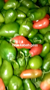 JUAL CABE GENDOT BANDUNG ISI 1 KG