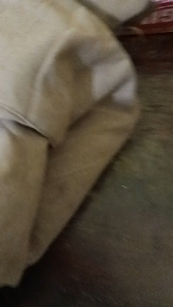 Buyer review video 5