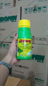 Herbisida Lindomin 200ml/400ml: Obat Rumput Efektif