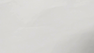 Benih Pare Belut isi (20 Butir) Bibit Pare Belut