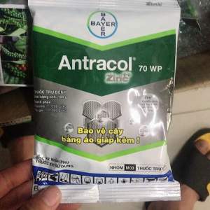 Thuốc trừ nấm Antracol 70WP Bayer gói 100g - Vàng Lá thán thư Lan hoa..