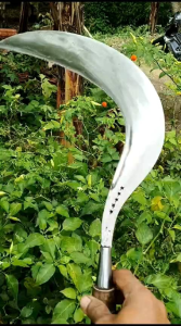 arit rumput asli dari Maduradijamin original produk terbaik dari pulau garam Madura terbuat dari bahan full baja pir siap untuk segala jenis lahan pertaniandan perkebunansudah diasah dan siap dipakai dijamin tajam dan kuat anti rompal dan mleot