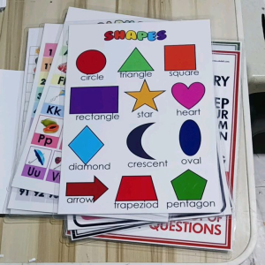 EDUCATIONAL POSTER LAMINATED A4 SIZE